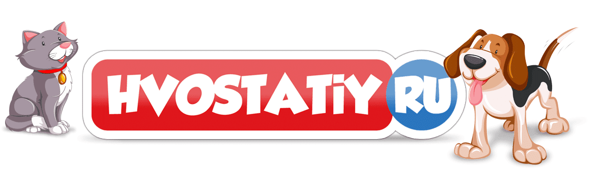 hvostatiy.ru